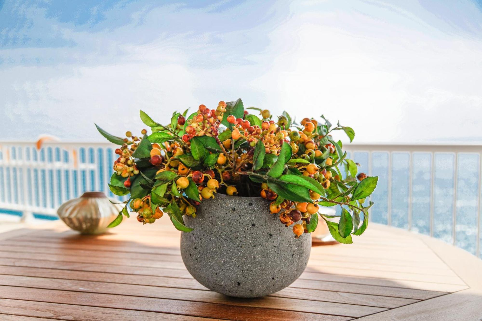 Rocas Roses