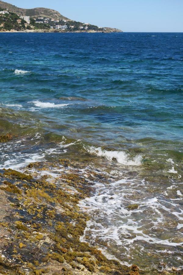 Appartement Rocas Roses