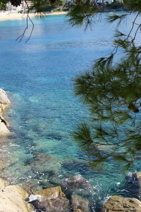 Rocas Appartement *